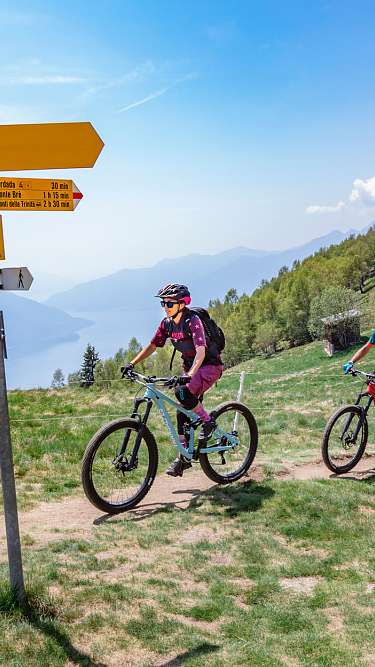 Percorsi di mountain bike